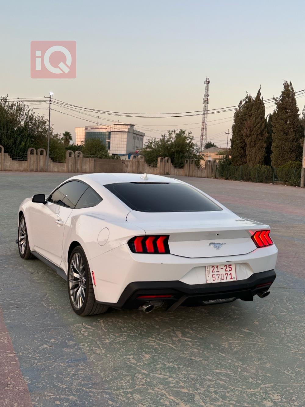 فورد موستانج